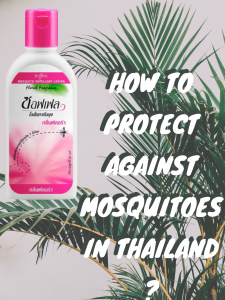 how-to-protect-yourself-against-mosquitoes-in-Thailand